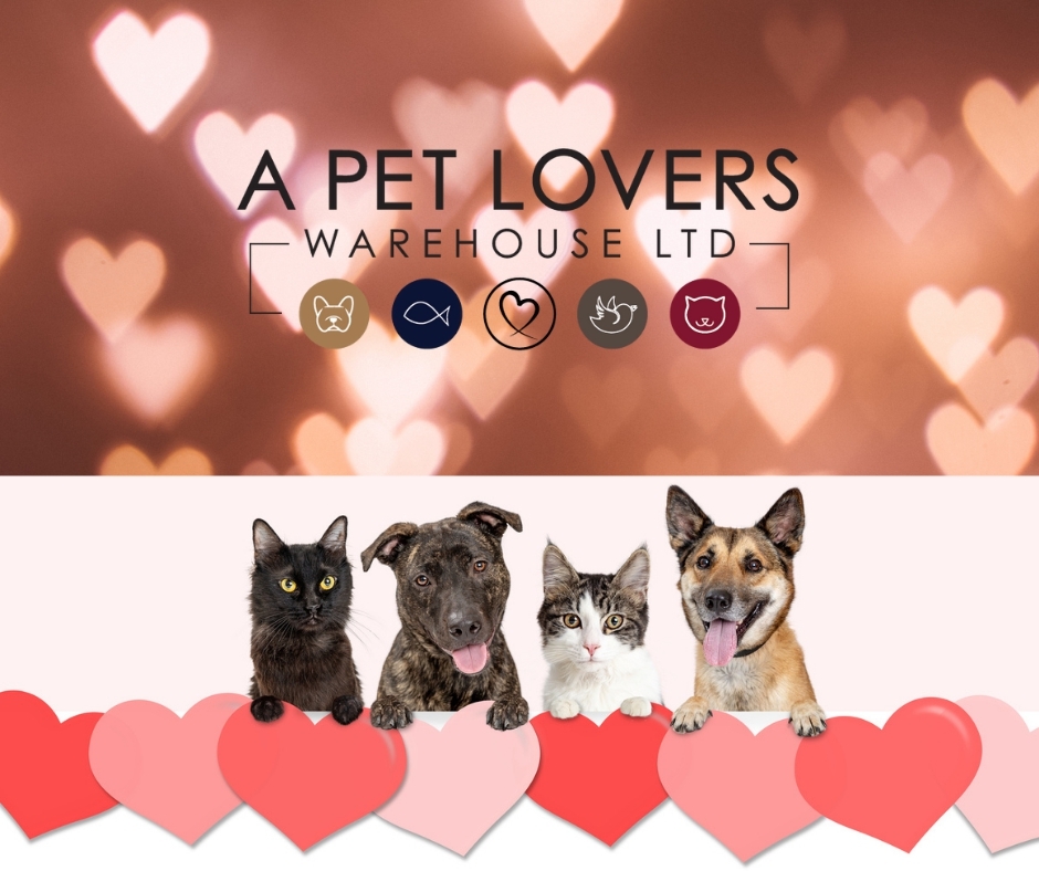 A pet lovers warehouse 2025