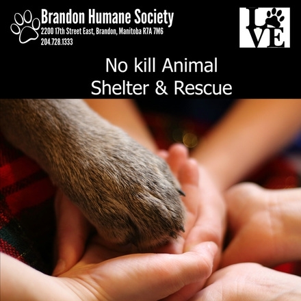Brandon Humane Society
